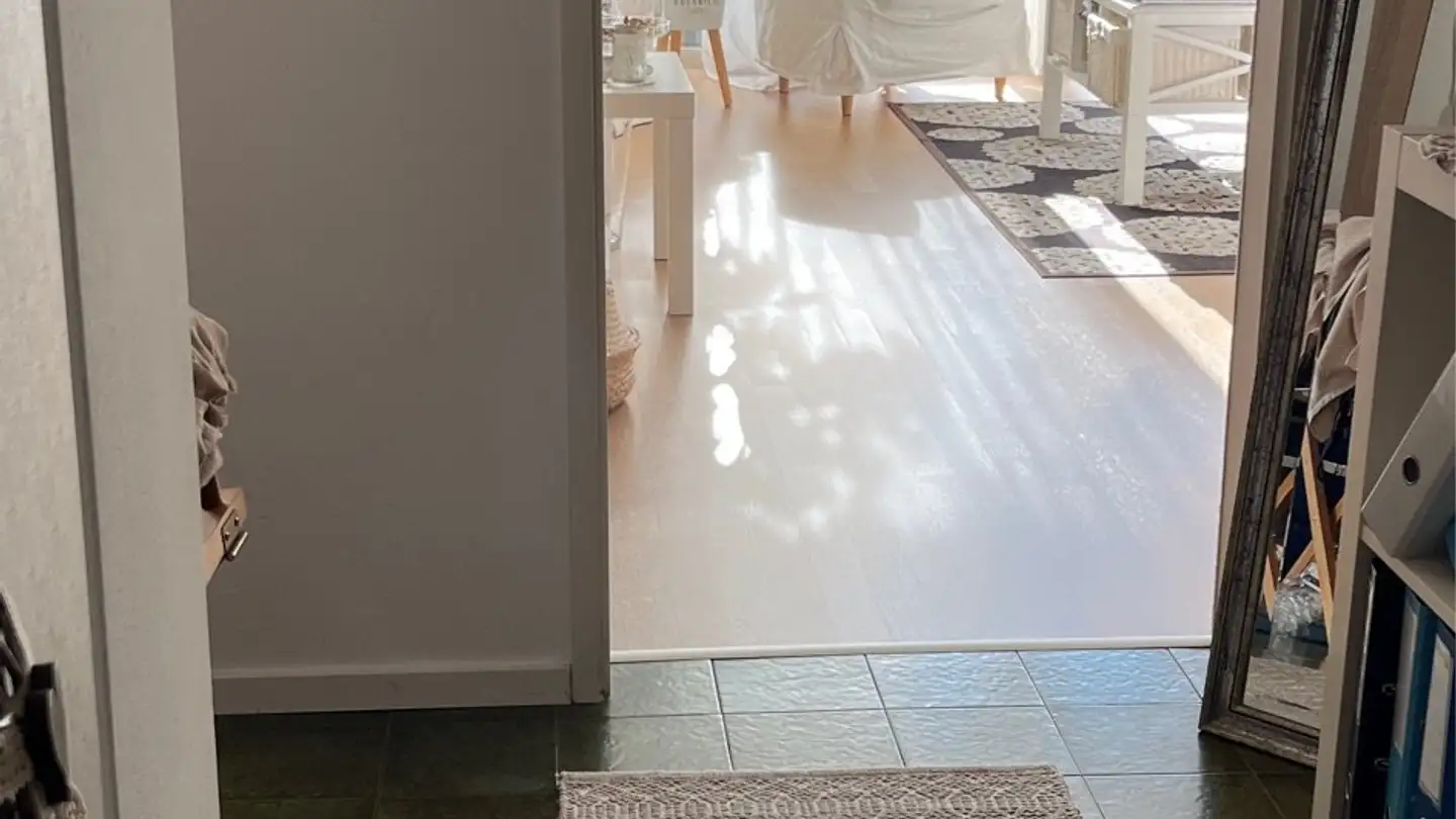 Appartamento in affitto - Via Rinaldo Simen 54, 6648 Minusio