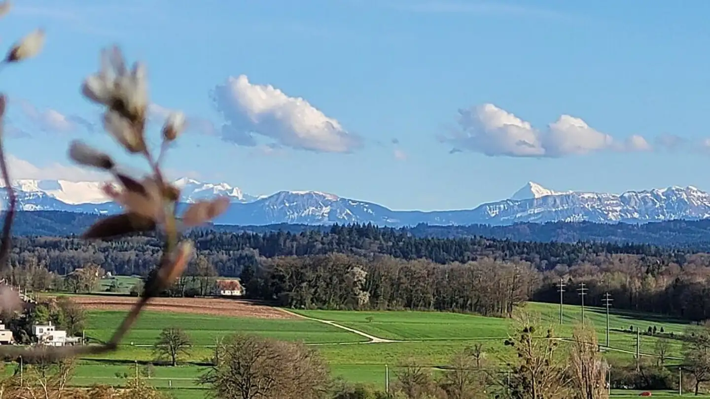 Single house for sale - Lehenweg, 4614 Hägendorf - Photo 2