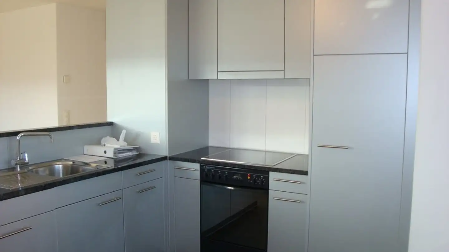 Appartamento in affitto - Neunbrunnenstrasse 169, 8050 Zürich - Foto 2