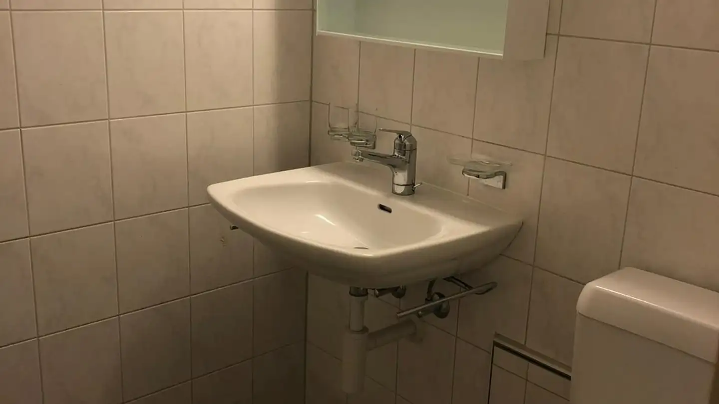 Einfamilienhaus kaufen - Gundeldingerstrasse 105, 4053 Basel - Foto 3