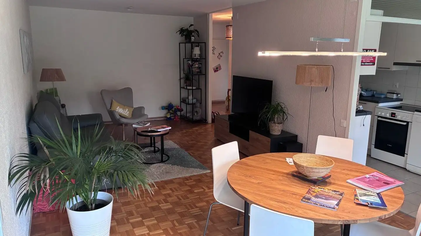 Appartamento in affitto - Chemin De La Traille, 1213 Onex - Photo 2