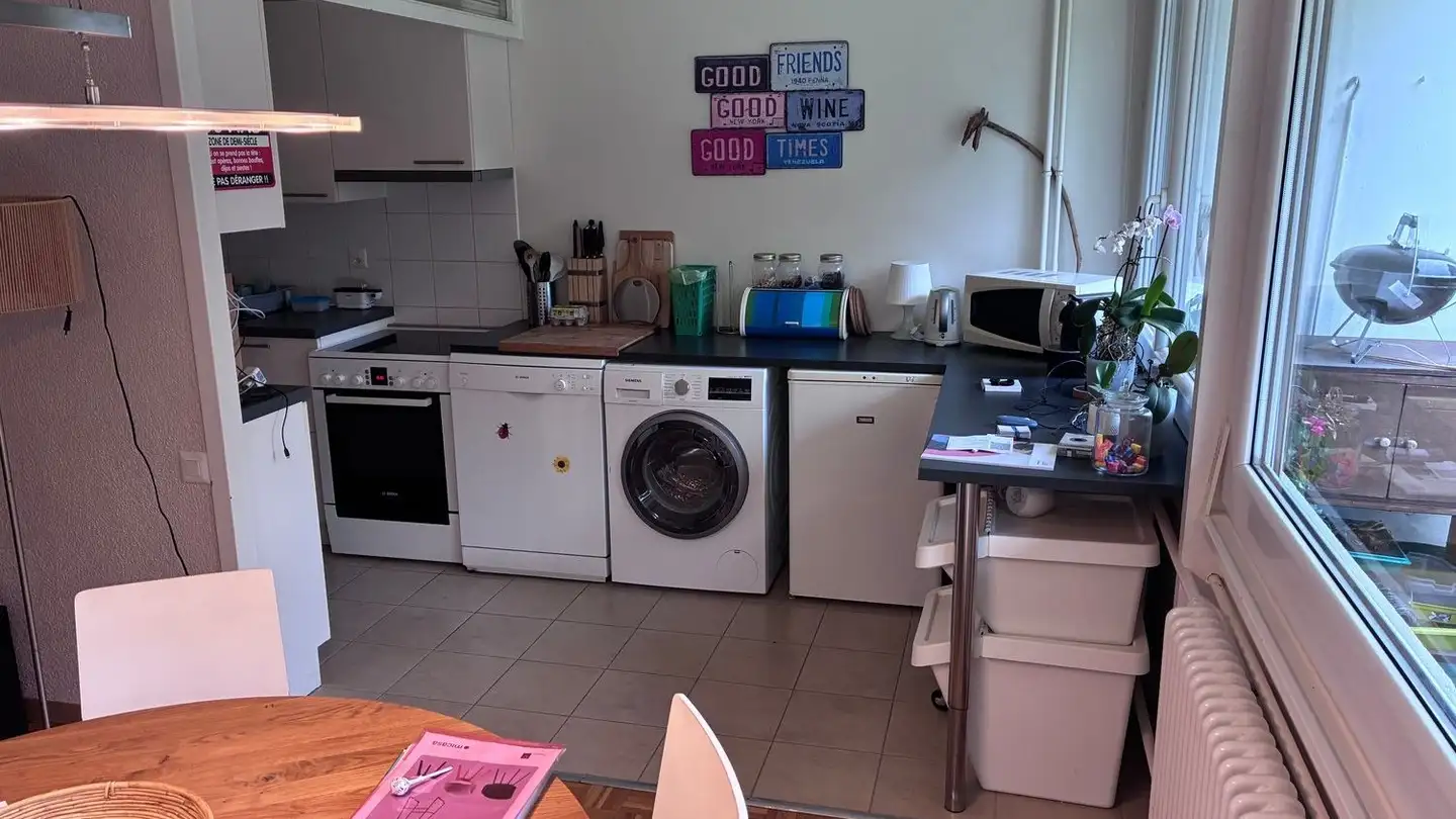 Appartamento in affitto - Chemin De La Traille, 1213 Onex - Photo 3