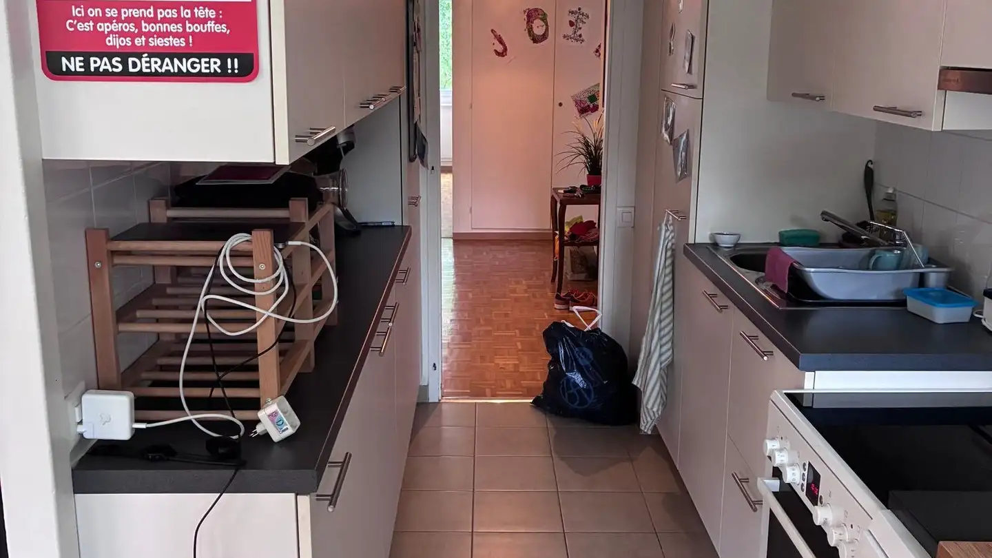 Appartamento in affitto - Chemin De La Traille, 1213 Onex - Photo 4