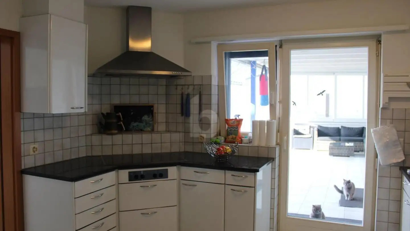 Höhlenhaus kaufen - 5116 Schinznach Bad - Foto 3