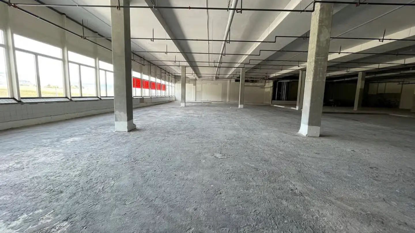 Commercial à louer - Rue Des Perveuils 2, 2074 Marin-Epagnier - Photo 2