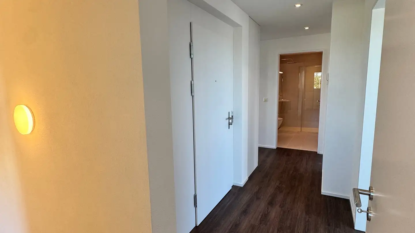 Attico in affitto - Roswiesenstrasse 133, 8051 Zürich - Photo 3