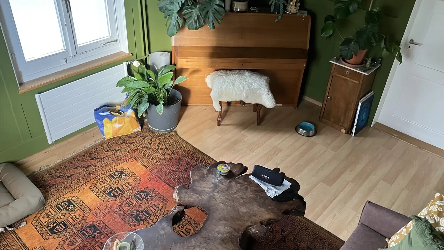 Chambre à louer - 8953 Dietikon - Photo 4