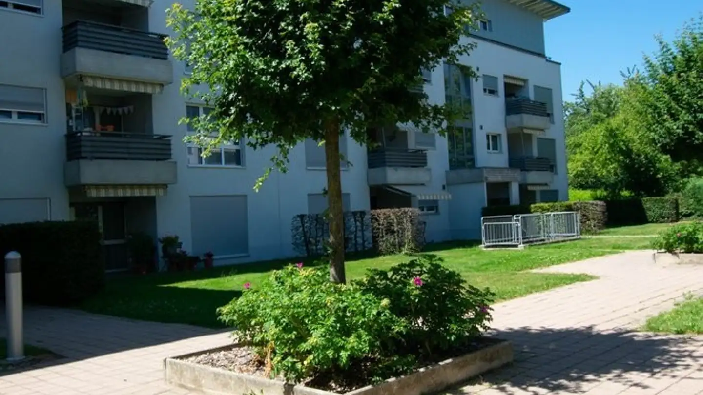 Cantina divisa in affitto - Ursprungstrasse 57, 3053 Münchenbuchsee - Photo 4