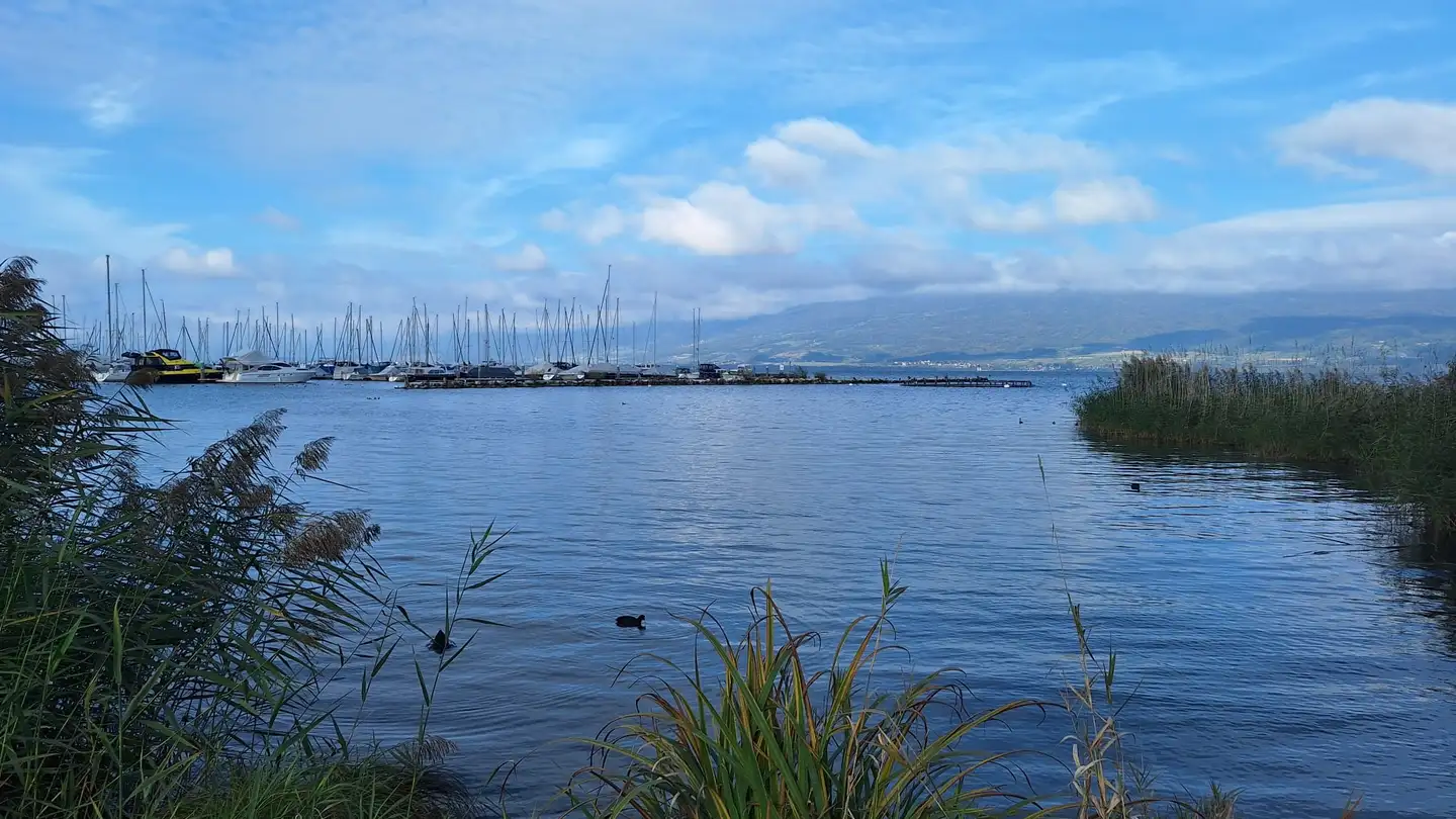 Einfamilienhaus kaufen - 1468 Cheyres