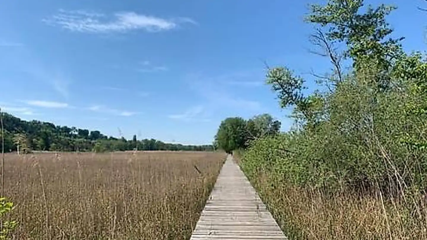 Maison individuelle à vendre - 1568 Portalban