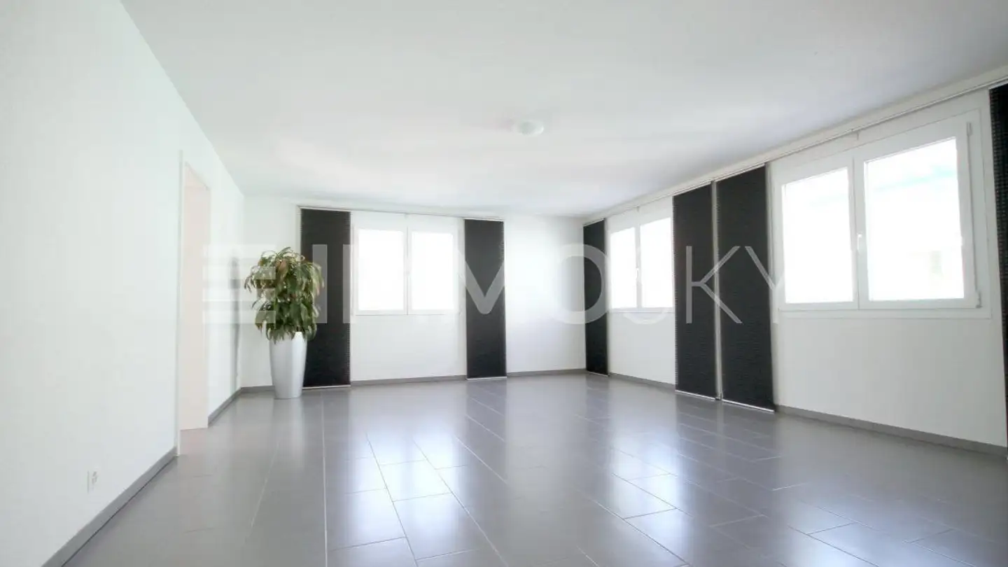 Commercial for rent - 5745 Safenwil - Photo 2