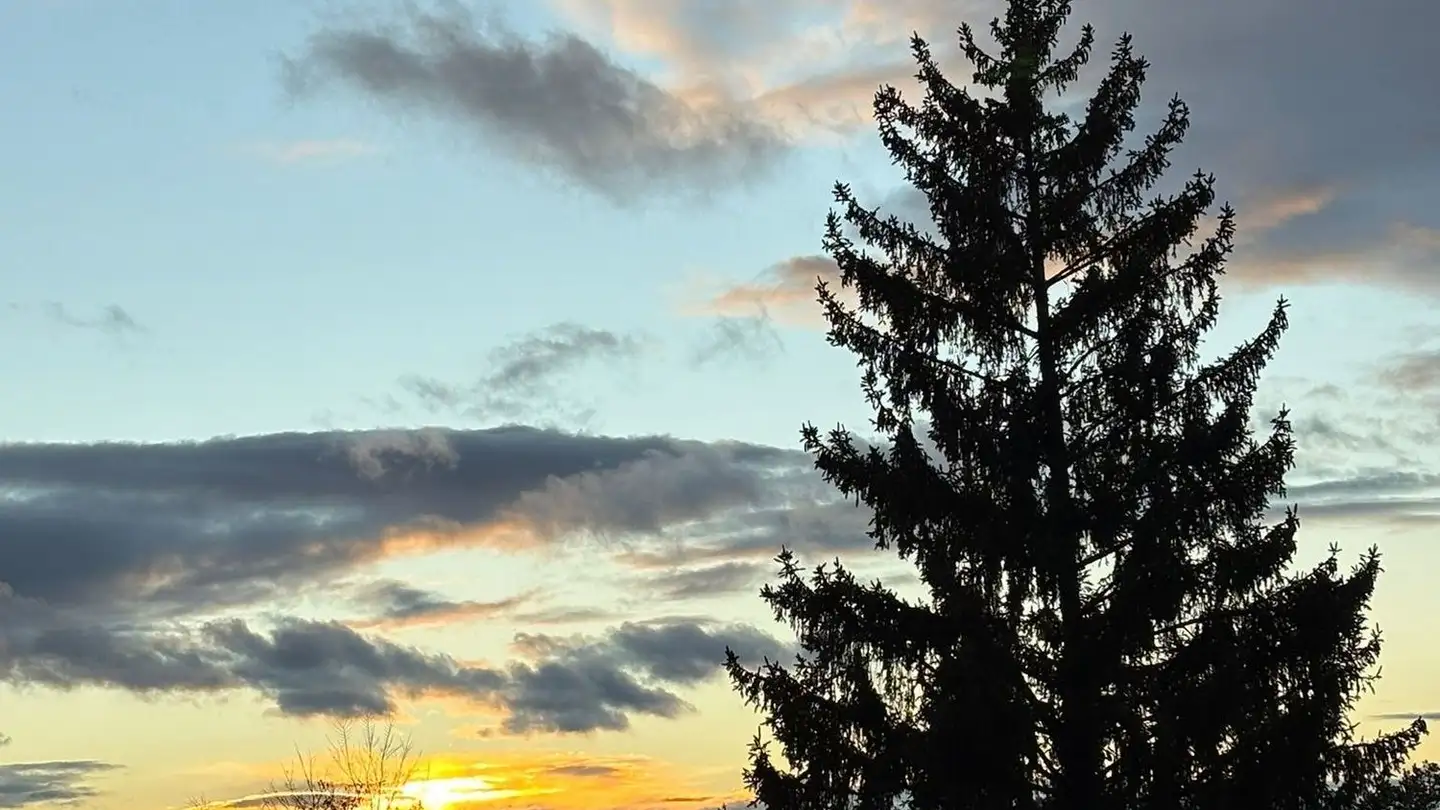 Attico in affitto - Kaiserstrasse 13, 4310 Rheinfelden - Photo 2