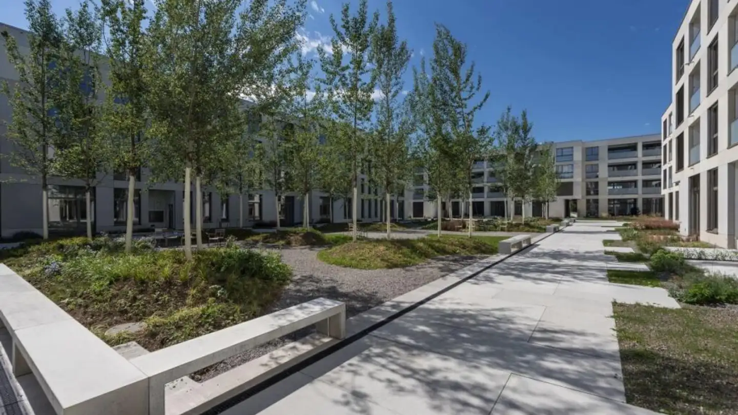 Appartamento in affitto - Mooshüslistrasse 15, 6032 Emmen