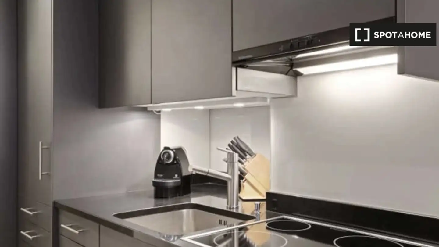 Wohnung mieten - 8001 Zürich