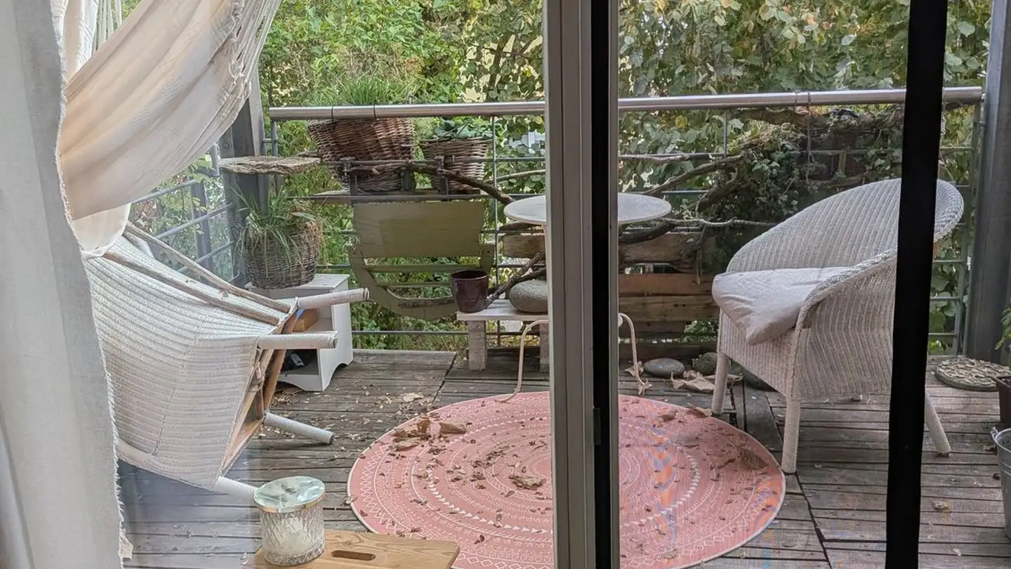 Appartamento in affitto - Alpinitstrasse 5a, 5614 Sarmenstorf - Foto 2