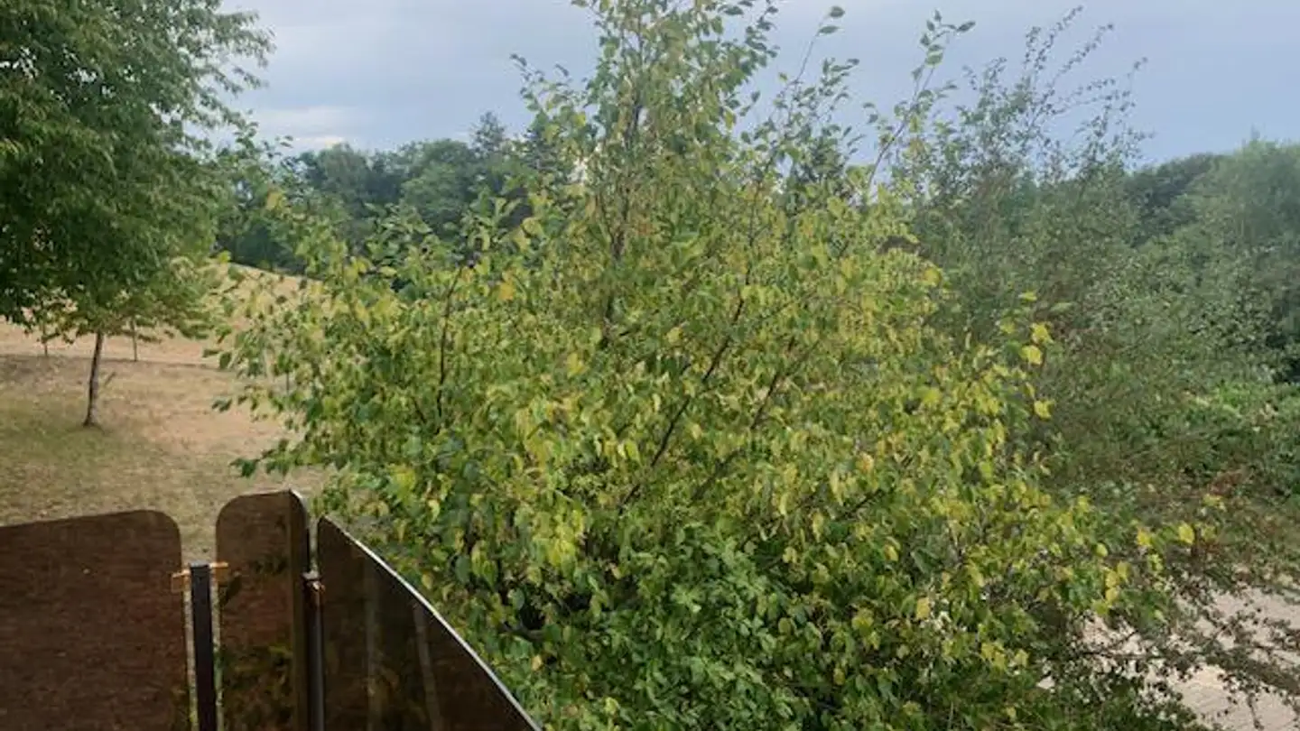 Casa singola in vendita - 1145 Bière - Foto 3