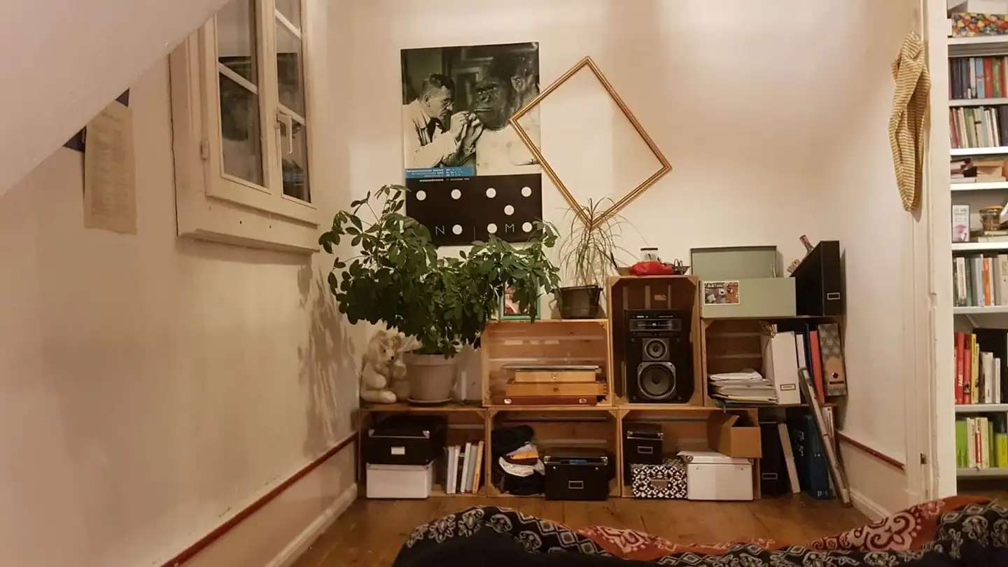 Chambre à louer - 3006 Bern - Photo 3