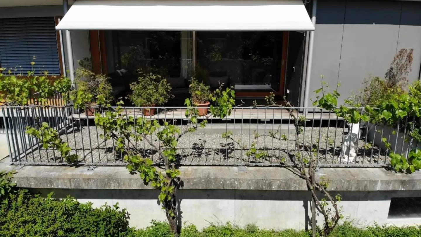 Appartamento in affitto - Rebbergstrasse 11, 5610 Wohlen AG - Foto 2