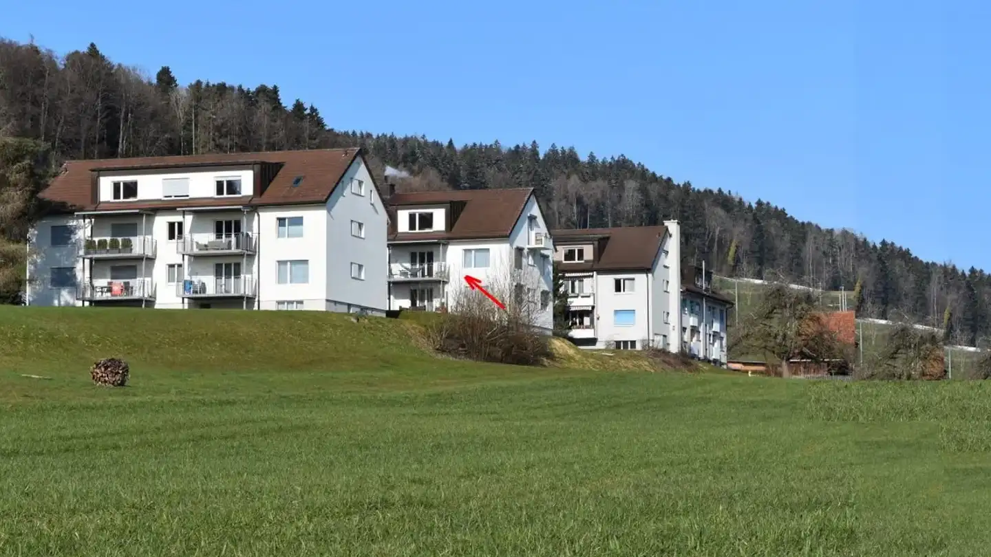 Appartamento in affitto - Neuhus, 8127 Forch - Foto 2