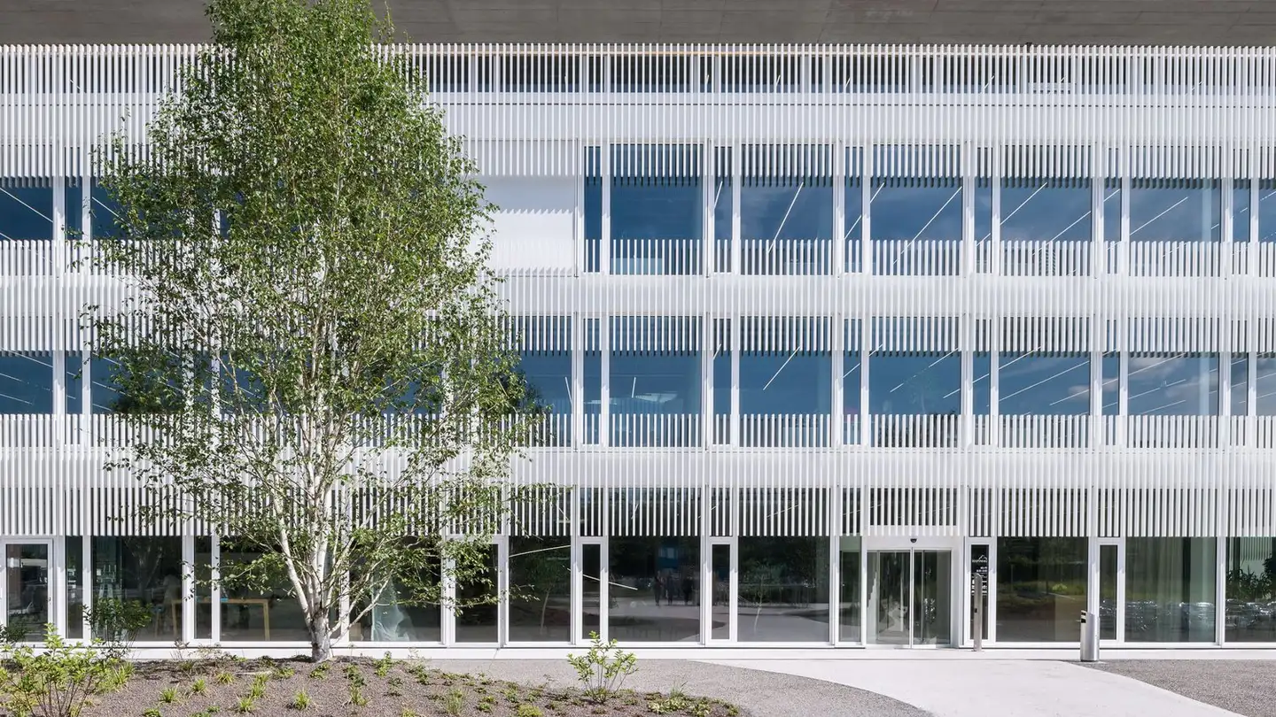 Spazio ufficio in affitto - Sumpfstrasse 18, 6312 Steinhausen