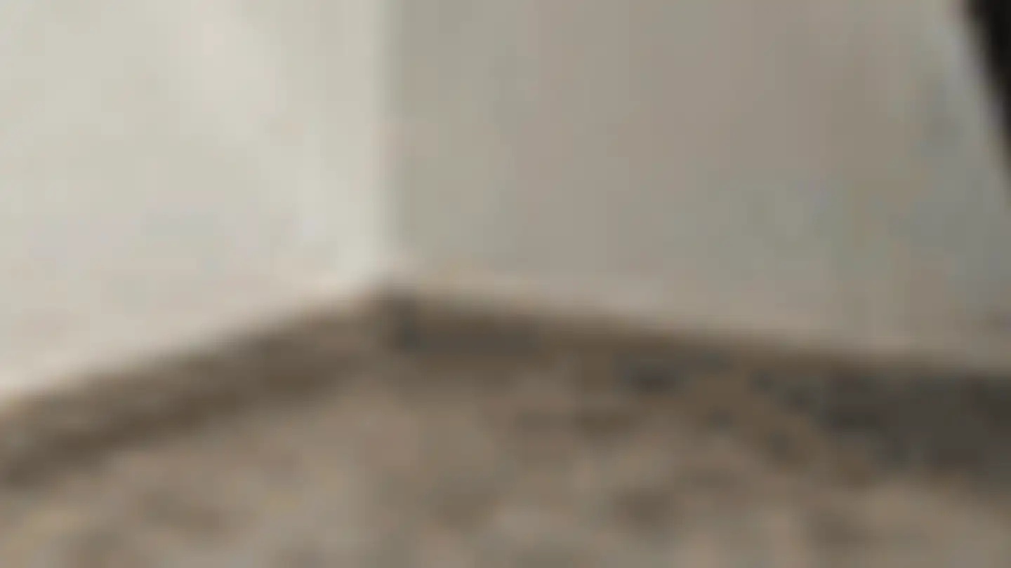 Attic flat for rent - Rue Adrien-Pichard 8, 1003 Lausanne