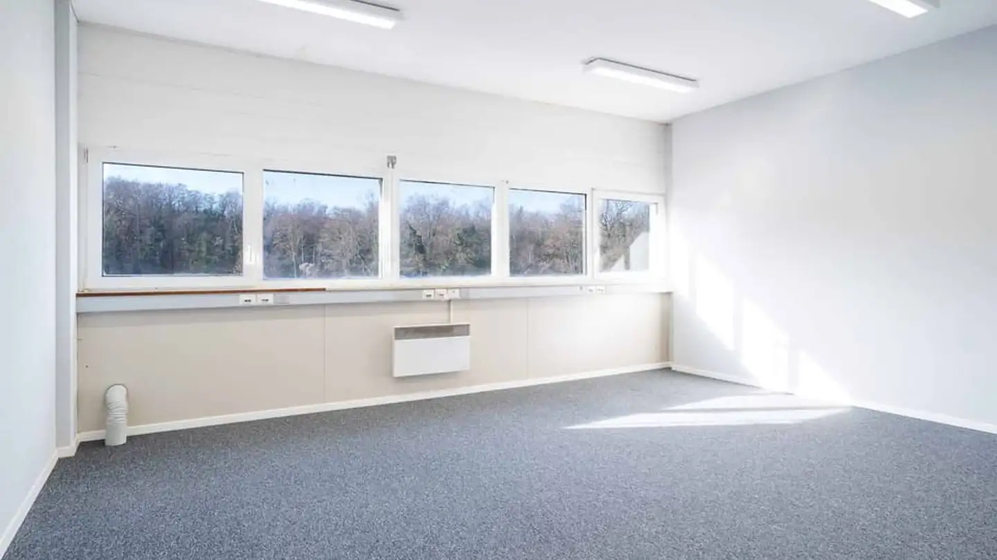 Commerciale in affitto - 1030 Bussigny - Foto 3