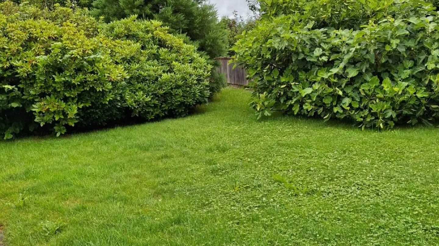 Maison individuelle à louer - 3375 Inkwil - Photo 2