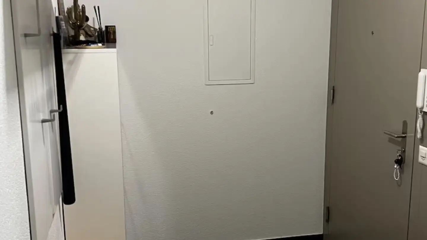 Apartment for rent - Birsfelderstrasse 91, 4132 Muttenz - Photo 2