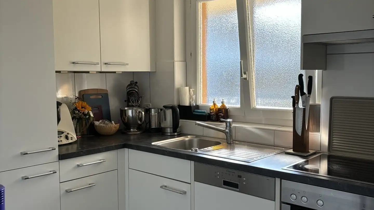 Chambre à louer - 8047 Zürich - Photo 2