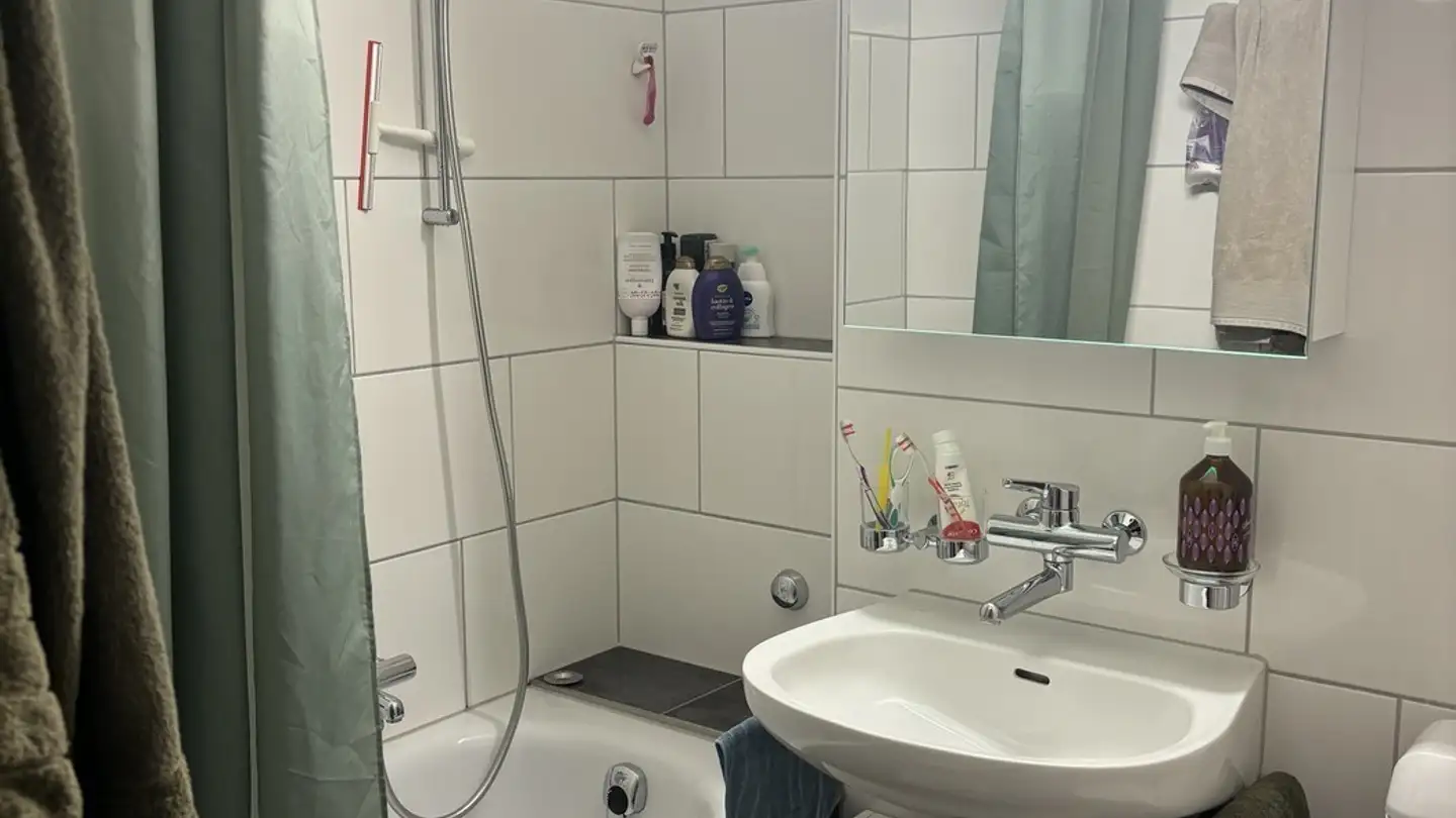 Chambre à louer - 8047 Zürich - Photo 3