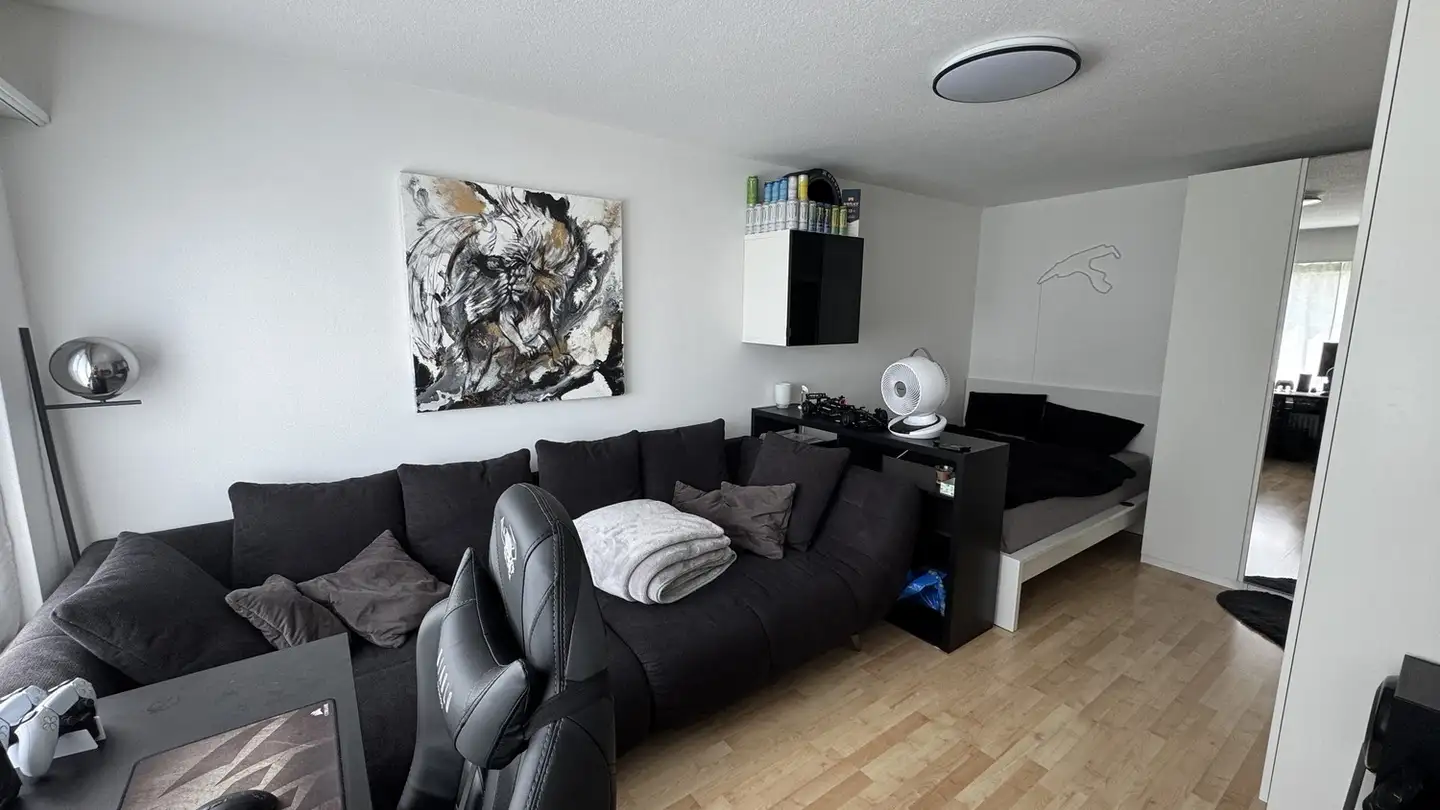 Wohnung mieten - Rotbuchstrasse 38, 8600 Dübendorf