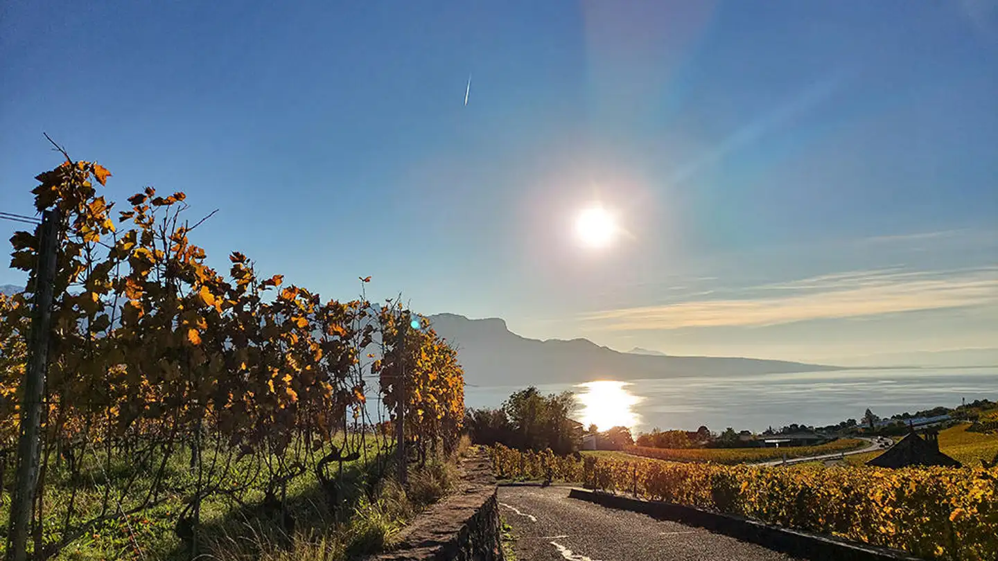 Villa for sale - 1803 Chardonne