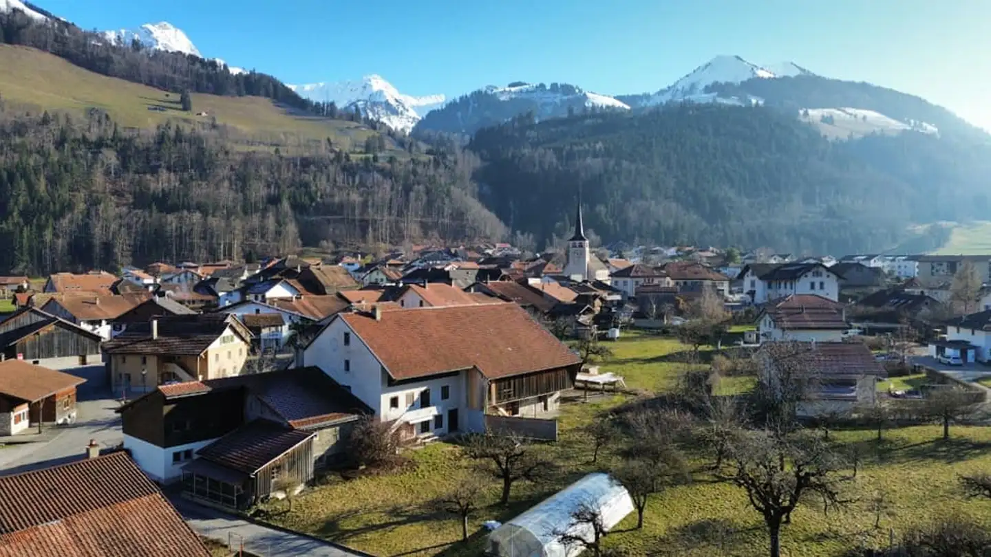 Wohnung kaufen - 1666 Grandvillard