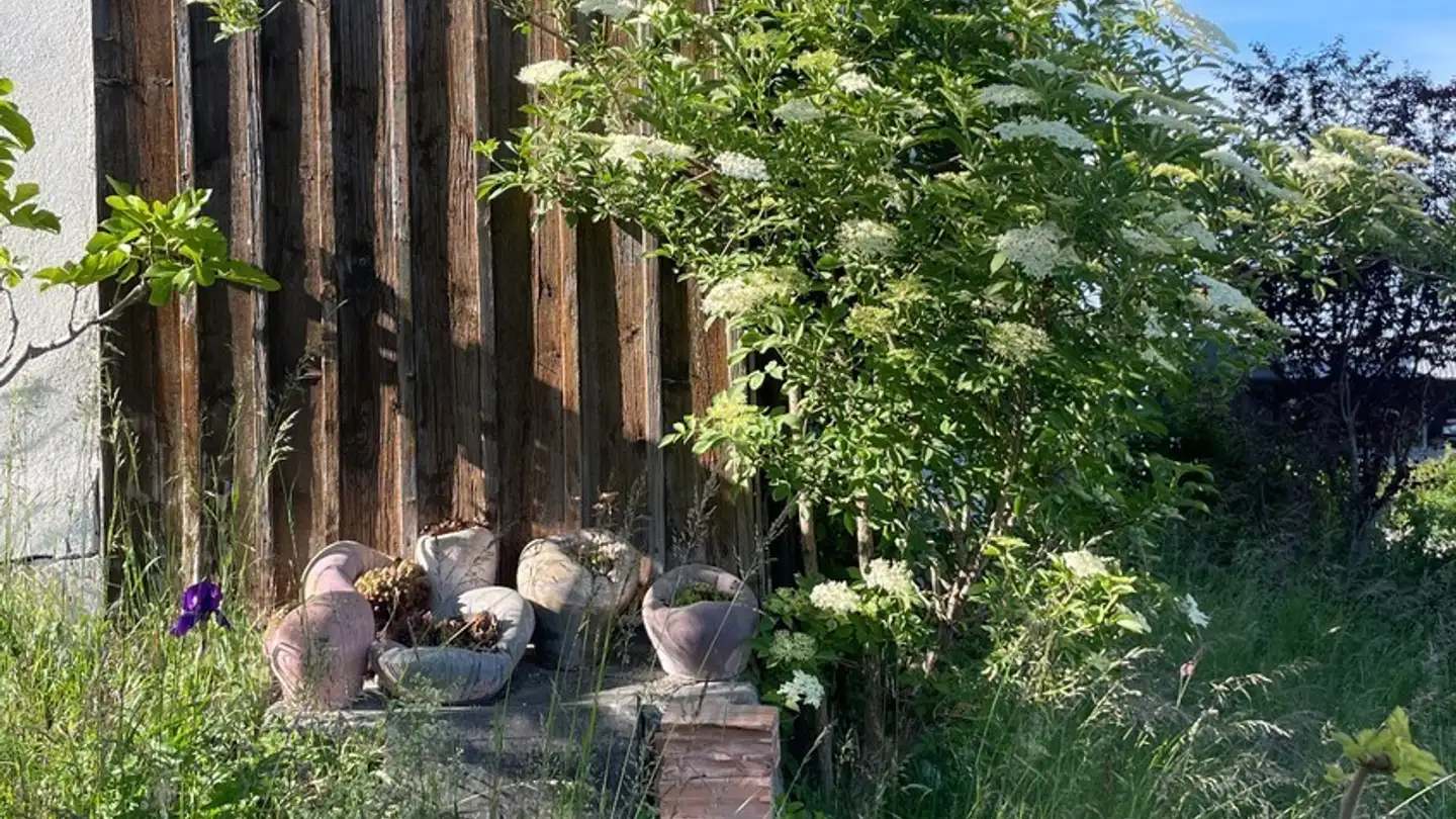 Appartamento in affitto - Platz 237, 9428 Walzenhausen - Photo 3