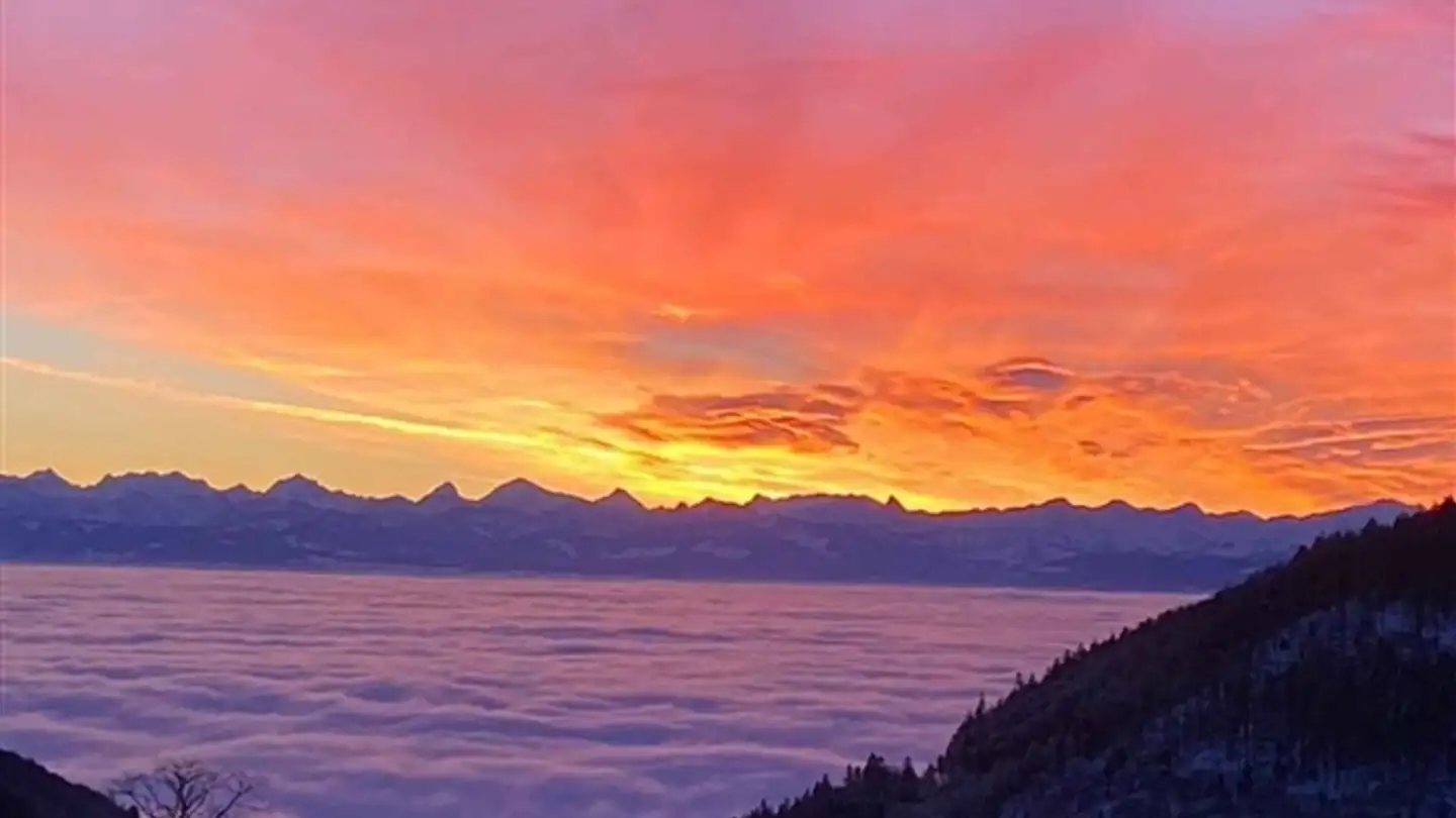 Appartamento in vendita - 1450 Ste-Croix