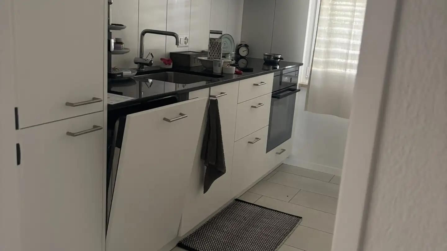 Appartamento in affitto - 8102 Oberengstringen