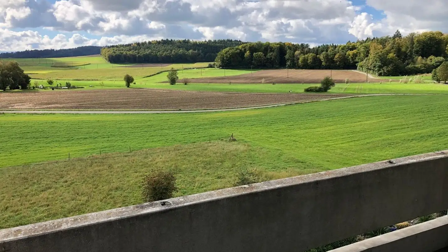 Appartamento in affitto - Hauptstrasse 80, 2552 Orpund - Foto 2