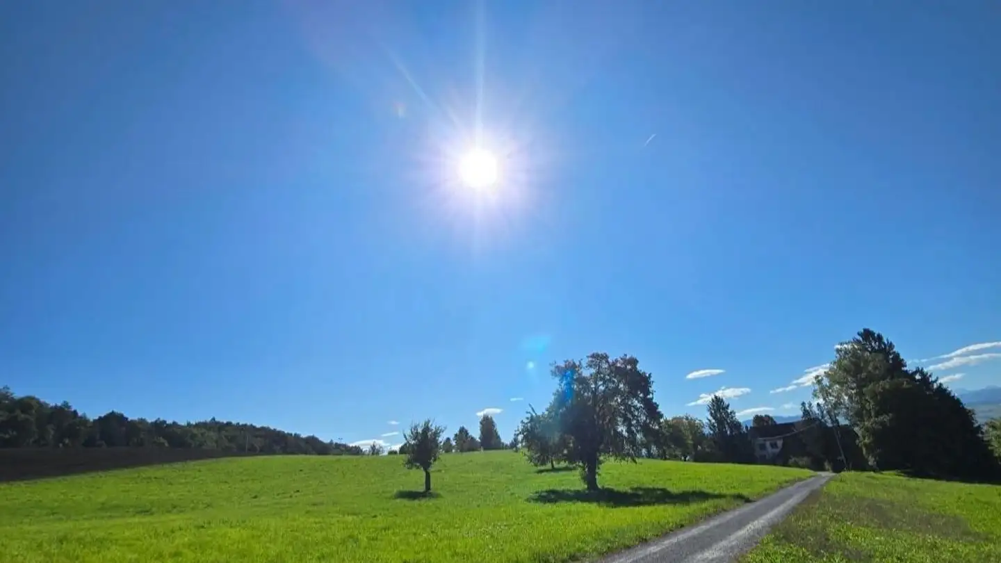 Appartamento in affitto - 8708 Männedorf