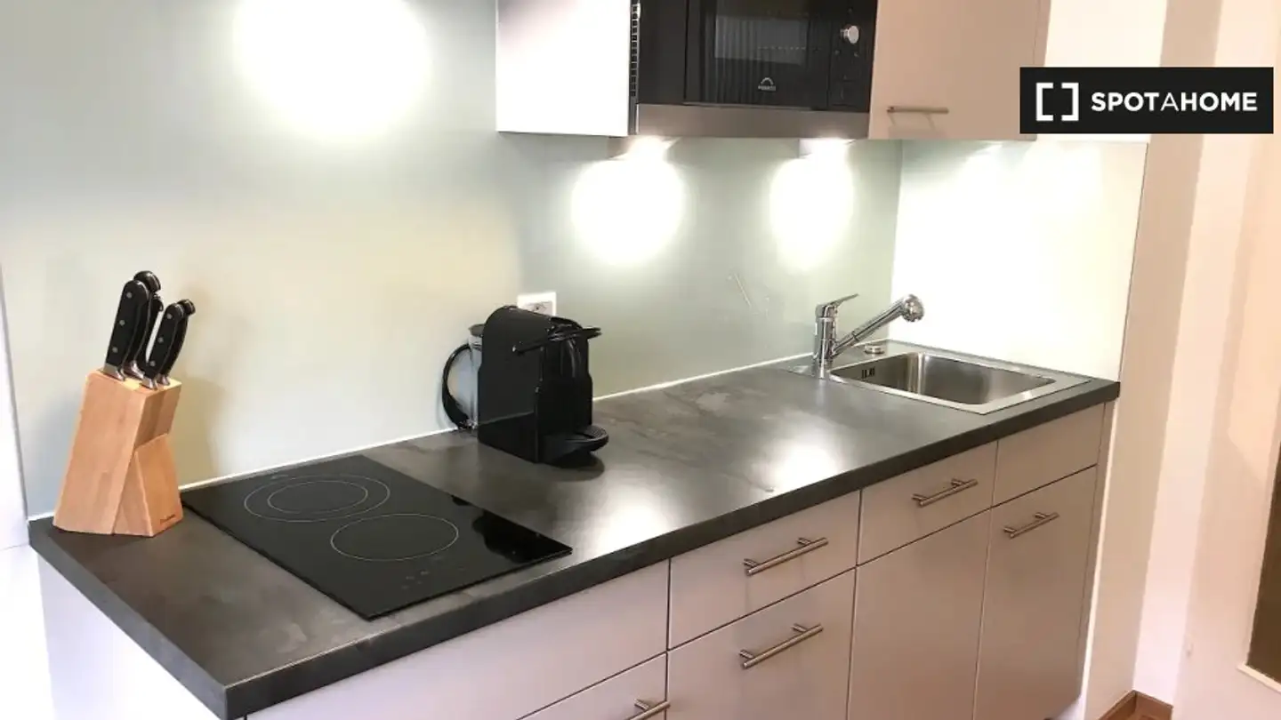 Wohnung mieten - 8008 Zürich
