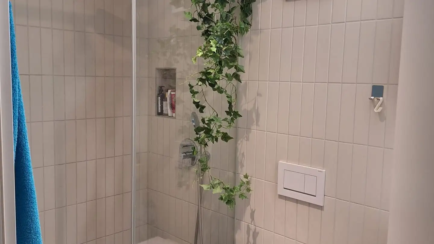 Single room for rent - Albisriederstrasse, 8003 Zürich - Photo 2
