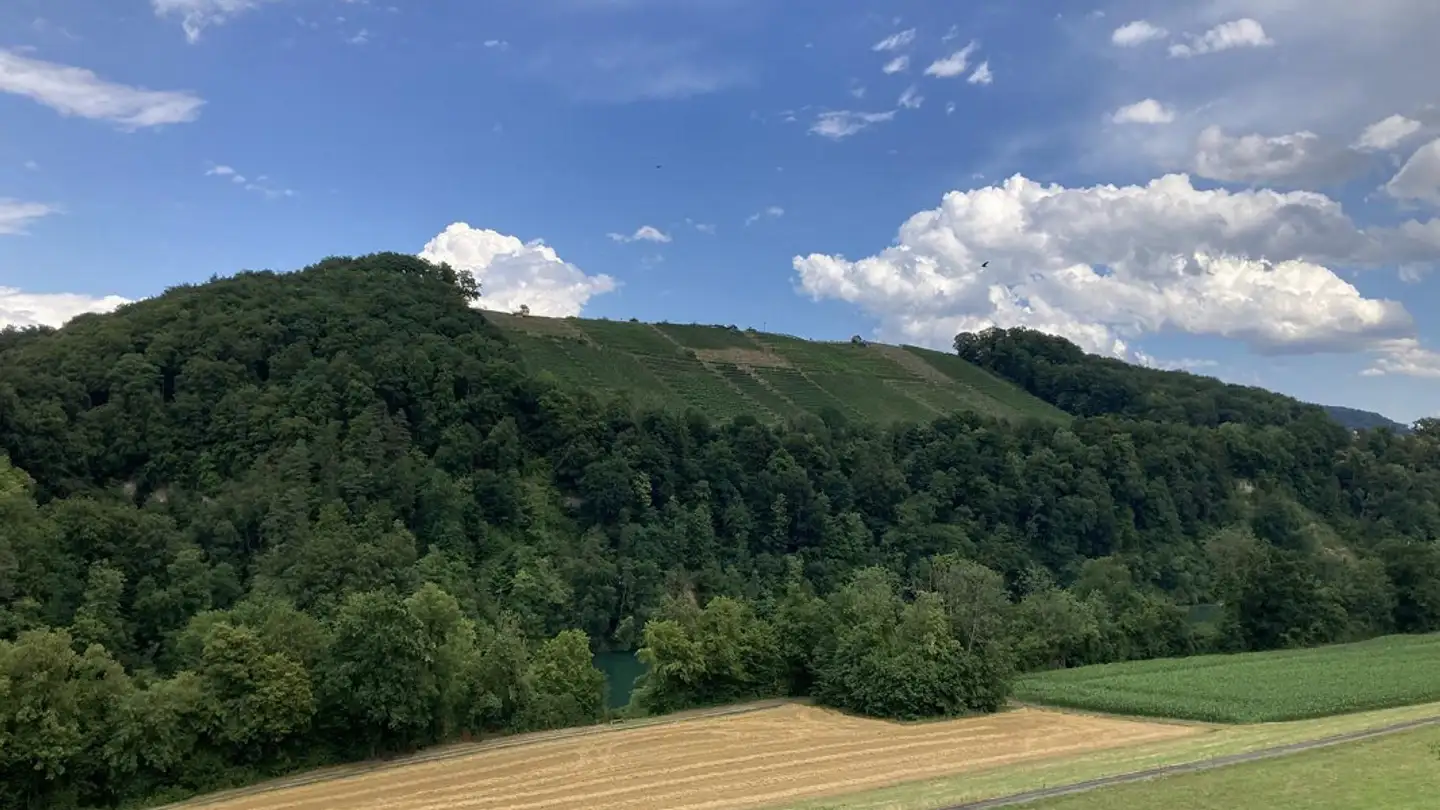 Appartamento in vendita - Tössriederenstrasse 81, 8193 Eglisau - Foto 4