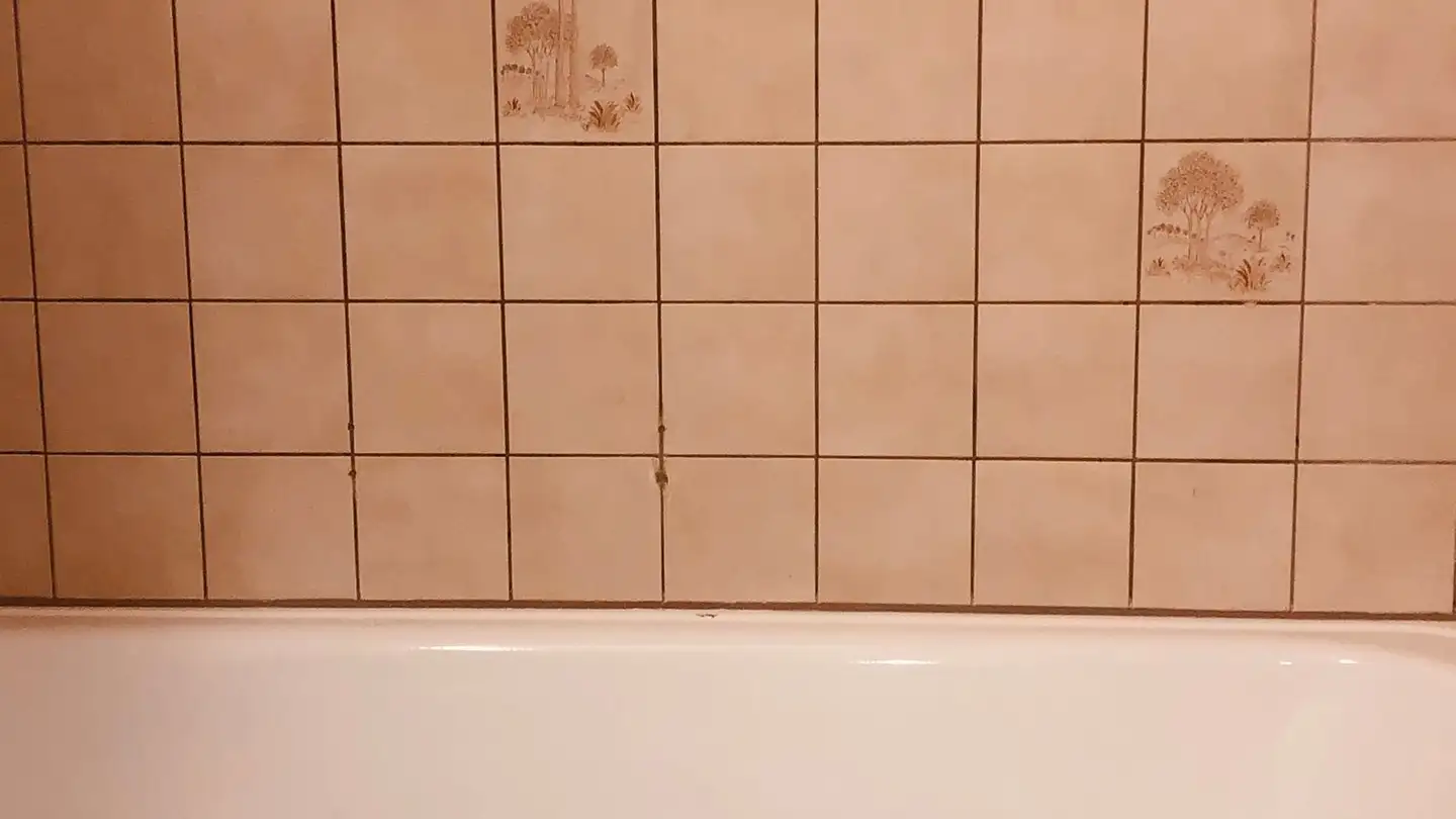 Wohnung mieten - Rue Du Nord 8, 2740 Moutier - Foto 4