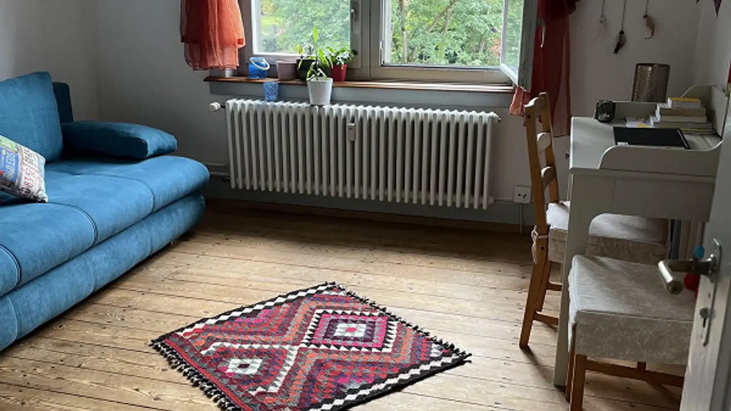 Attico in affitto - Eigerstrasse, 8200 Schaffhausen