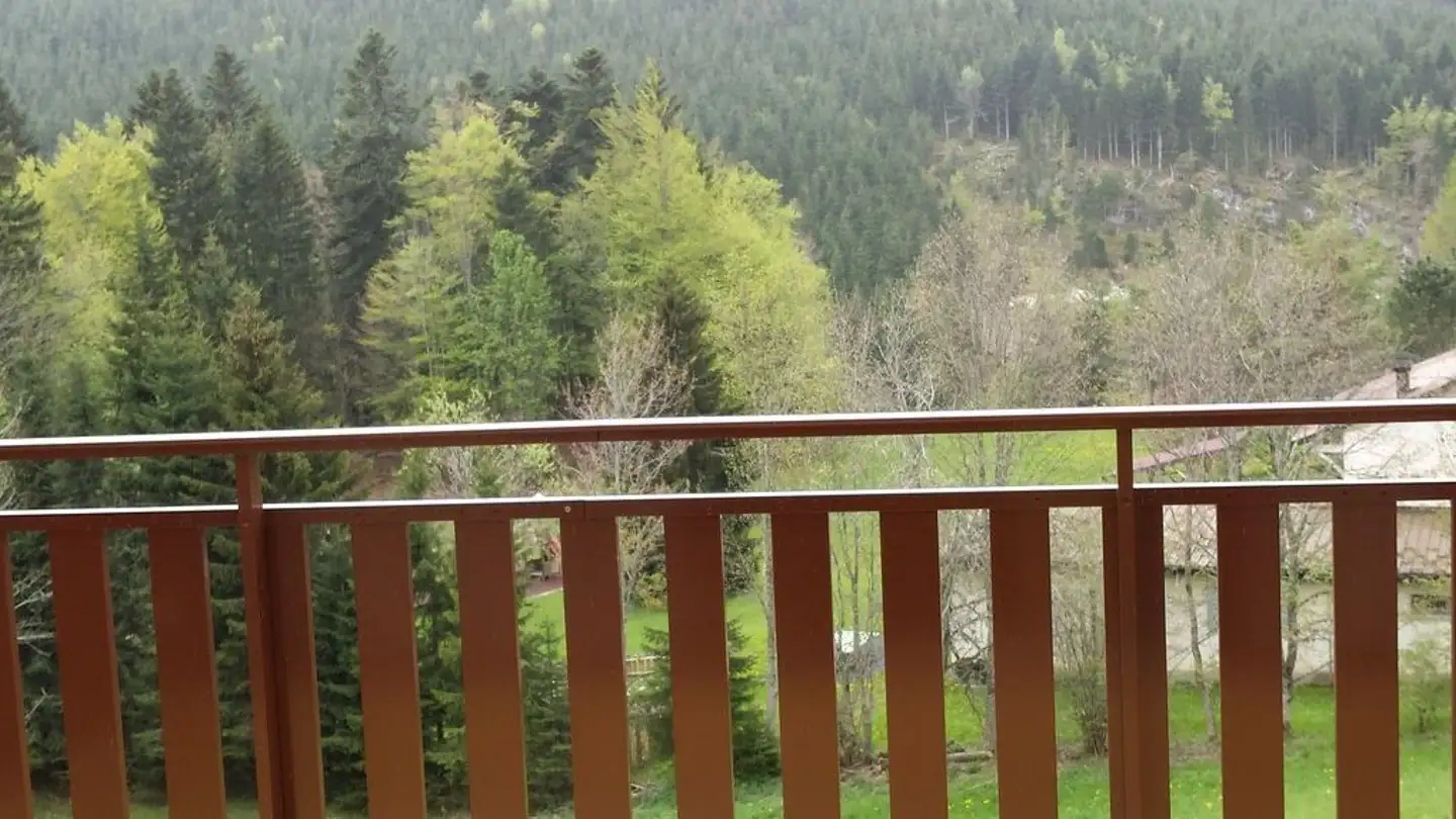 Wohnung kaufen - Route Des Cheseaux-Dessus, 1264 St-Cergue - Foto 2