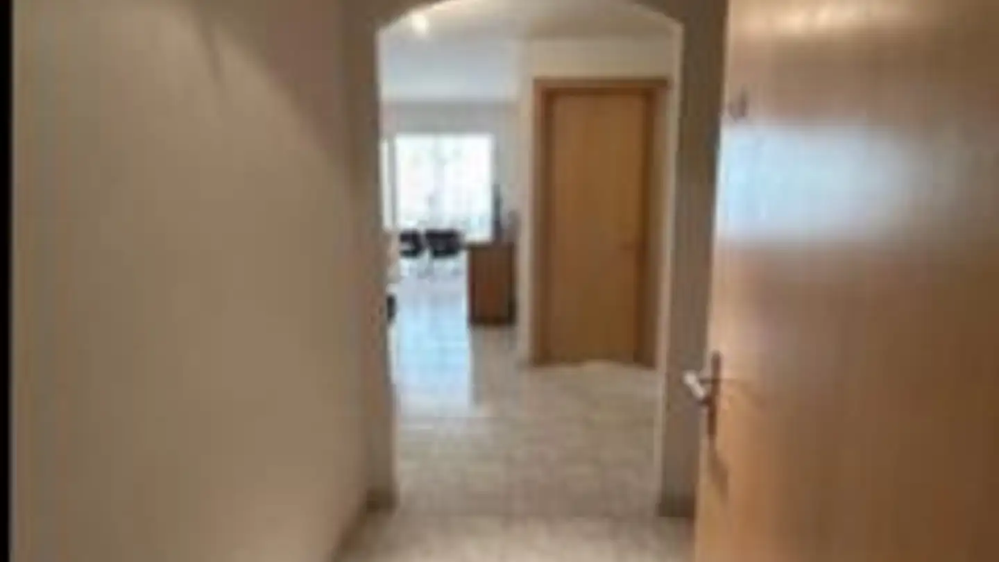 Appartamento in affitto - Route Des Ronquoz 12, 1913 Saillon - Photo 2