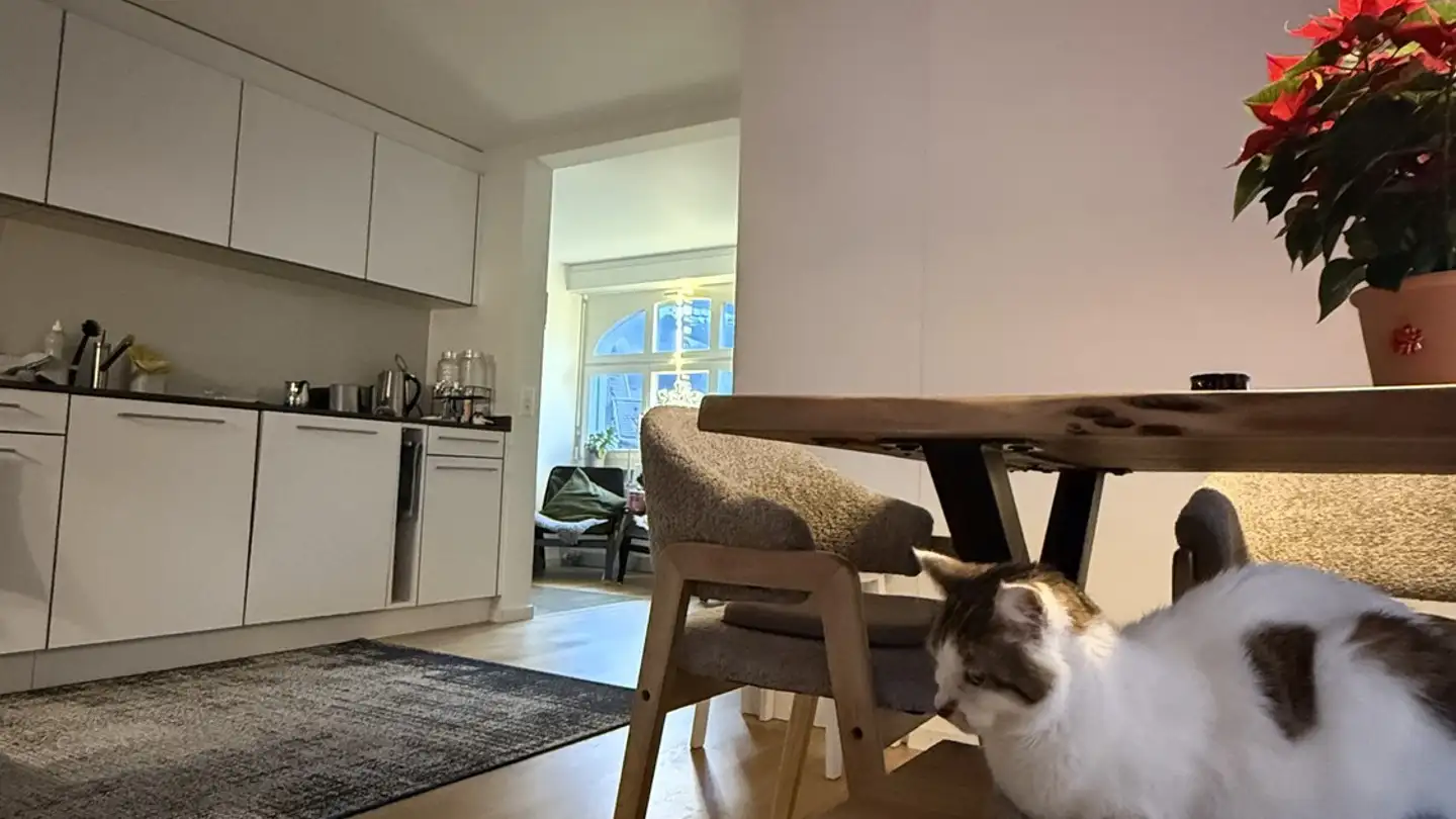 Zimmer mieten - 6403 Küssnacht am Rigi - Foto 2