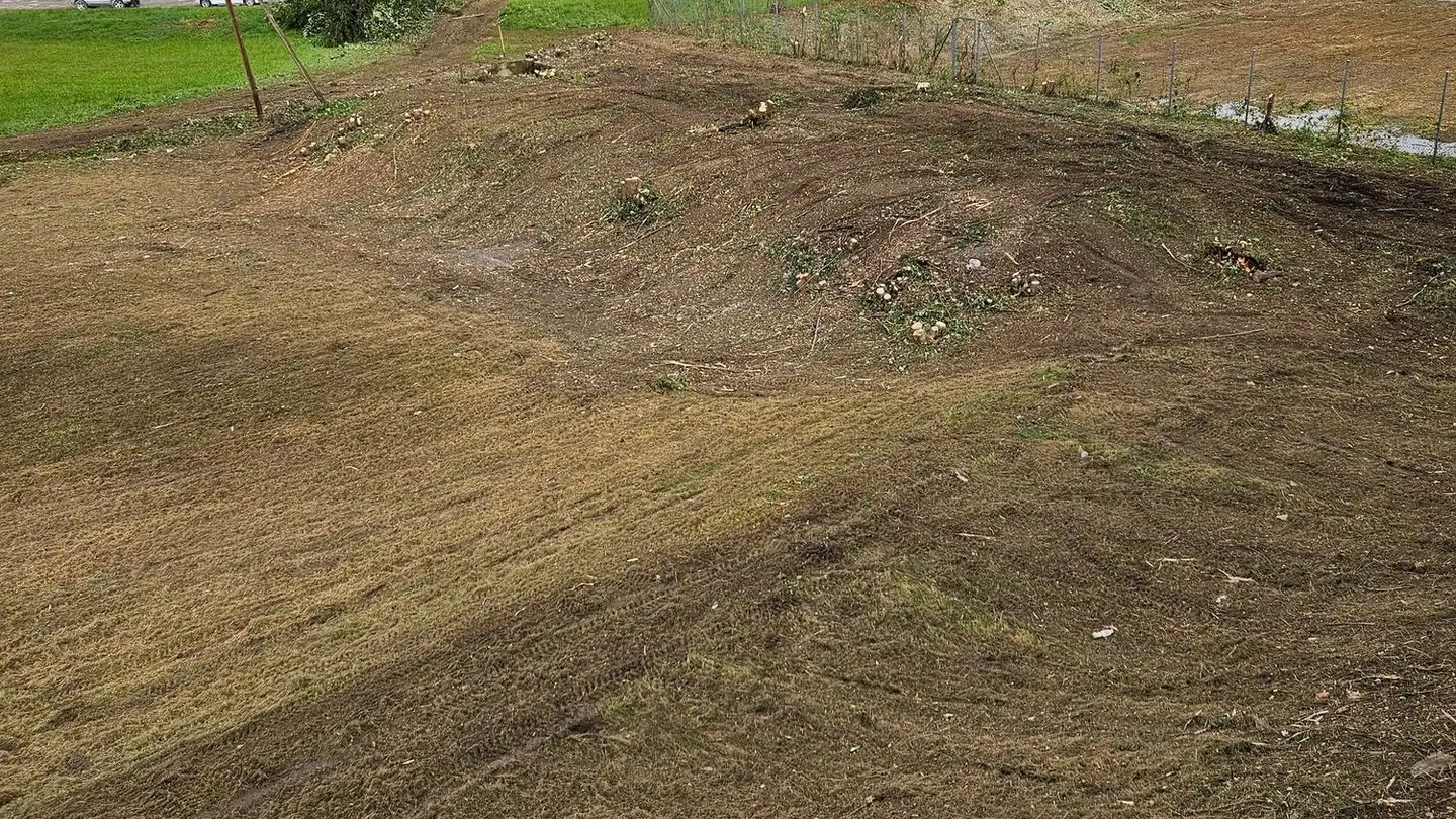 Proprietà industriale in affitto - Schoretshuebstrasse 2, 9015 St. Gallen - Foto 3