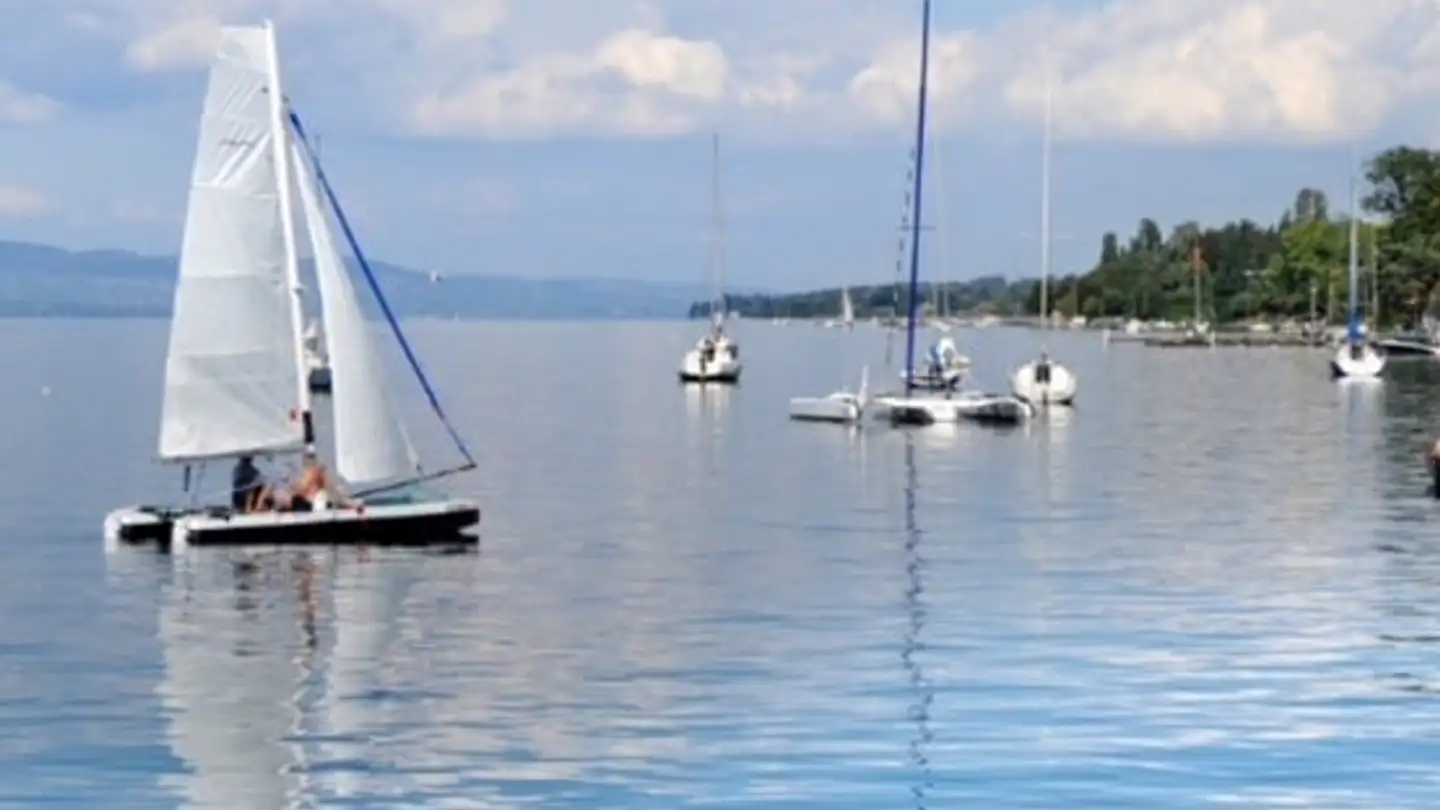 Einfamilienhaus kaufen - 1246 Corsier GE