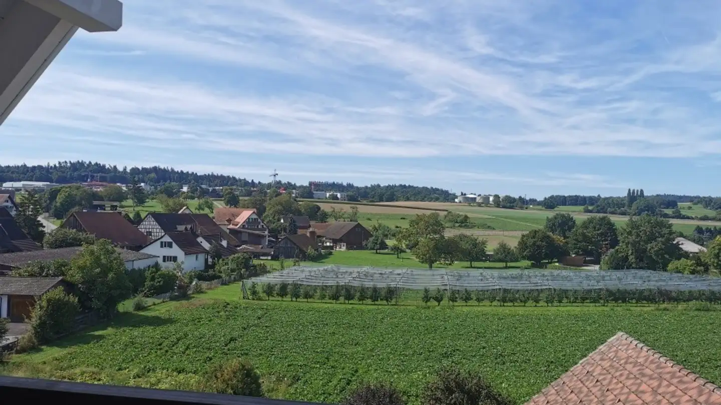 Wohnung mieten - 8156 Oberhasli - Foto 2