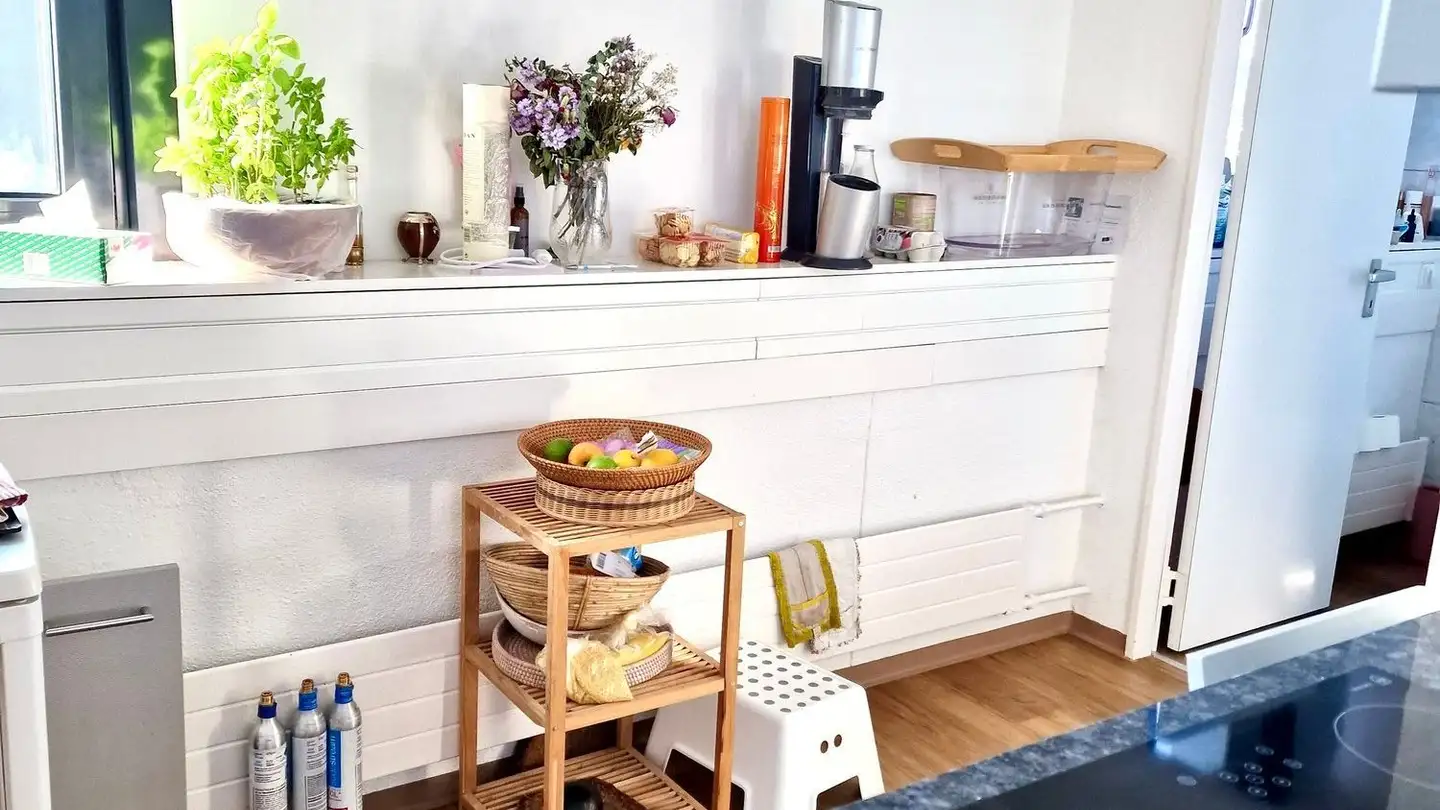 Appartamento in affitto - Badenerstrasse 20, 8953 Dietikon - Foto 4